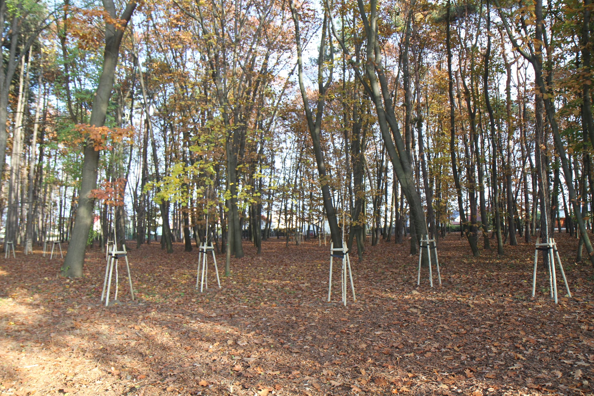 Tak wygląda nowy park przy Kazimierza Wielkiego