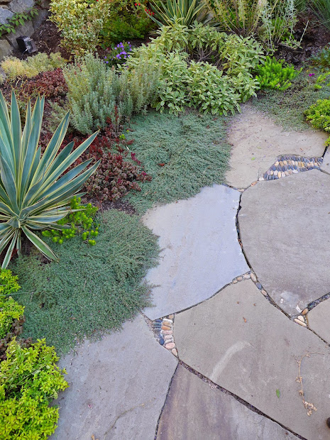 jeffrey bale's world of gardens