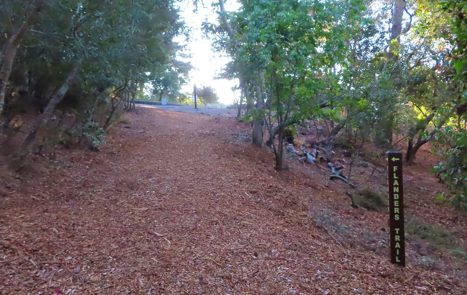 Carmel by the Sea Mission Ranch, Mission Trails Park, Mission Basilica