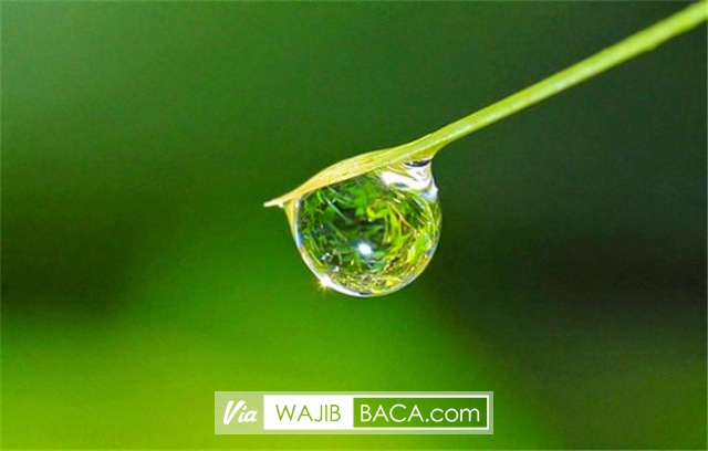 Rasulullah Menangis Tersedu, Bagaimana Mungkin Ayat Ini Mampu? Rasulullah Menangis Tersedu, Bagaimana Mungkin Ayat Ini Mampu?