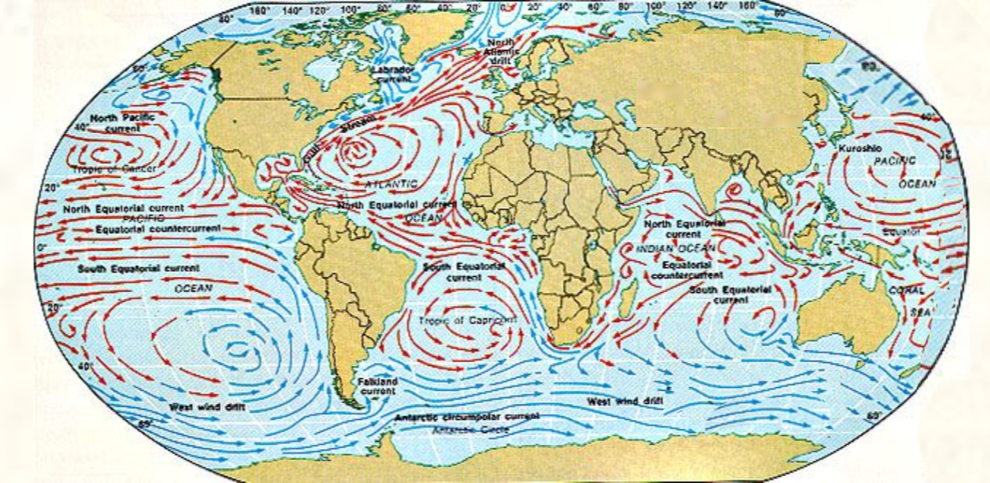 6 холодных течений. Карта течений мирового океана. Течения в океане карта. Физическая карта с течениями.