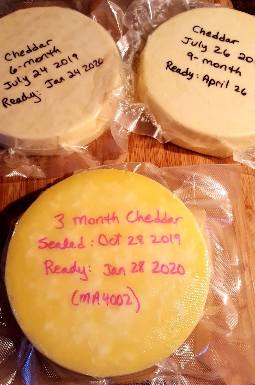 RAINY DAY CHEESE MAKING Cheesy Tidbits