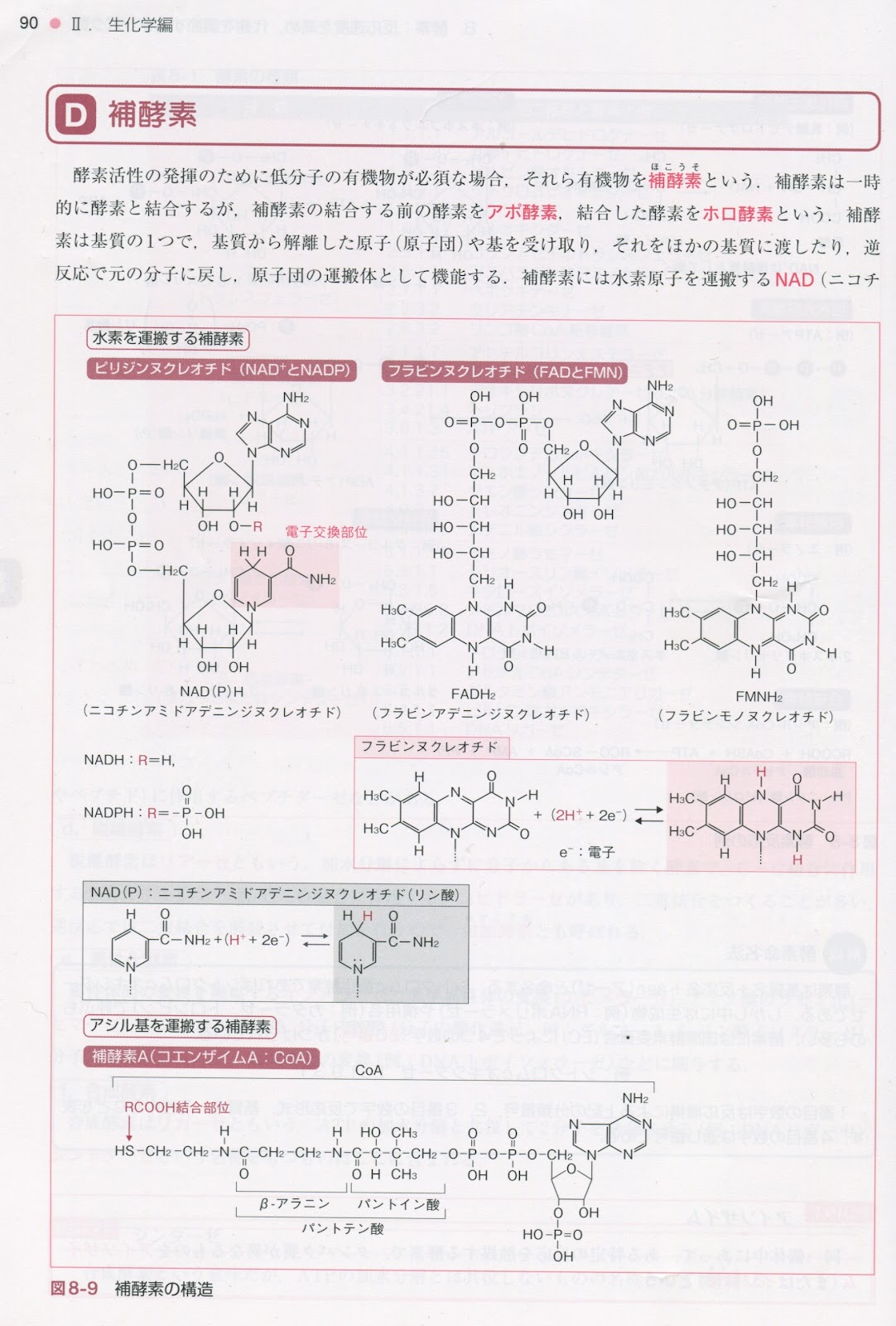 SrJrSwim notes図書紹介:「わかる!身につく! 生物・生化学・分子生物学」