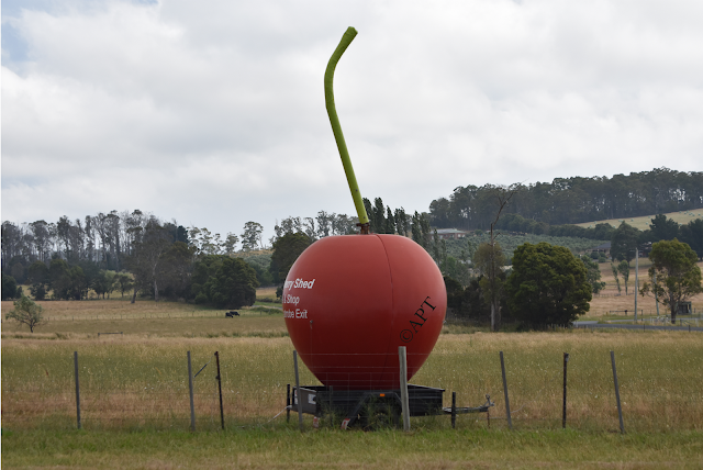 Another BIG Cherry | The Cherry Shed, Latrobe