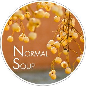 Normal Soup