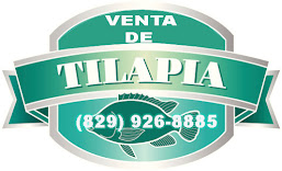 VENTA DE TILAPIA    829-926-8885