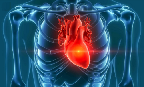 Heart Disease and Symptoms