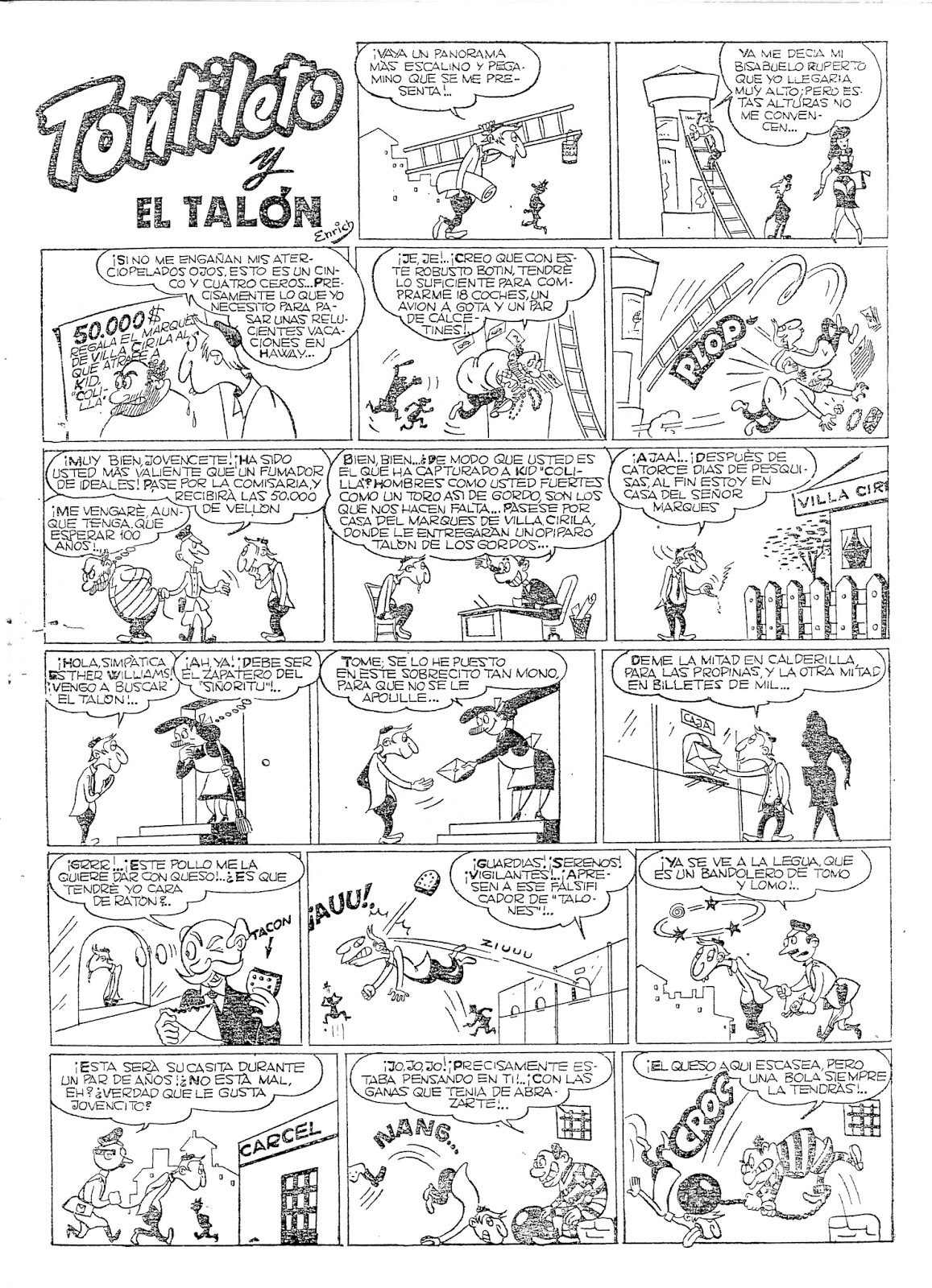 Fidelenrich - bats.fyi