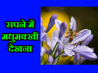 sapne me madhumakhi ko dekhna, bee image