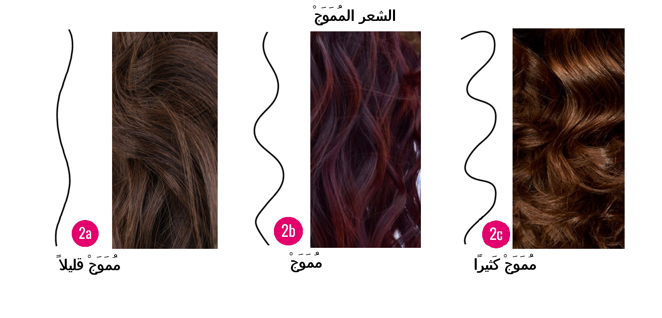 معرفة نوع الشعر بالصور