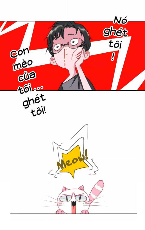 Đọc truyện Thế giới của một chú mèo - Chapter 1