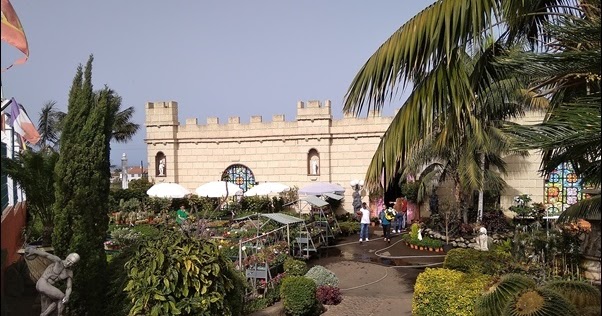 Alles Rund Um Teneriffa Und Casa Nova Jardineria El Castillo