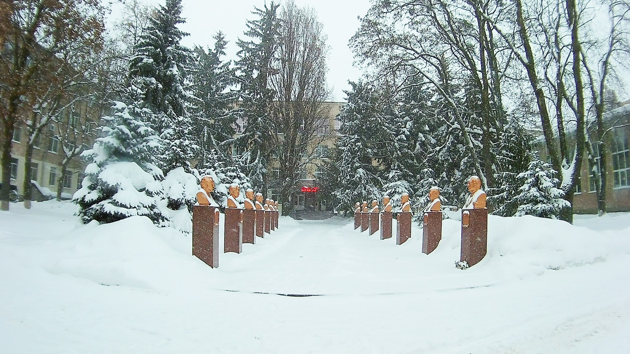 Бібліотека УМСА