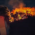 Barreiras: Incêndio atinge área de vegetação que abriga orfanato
