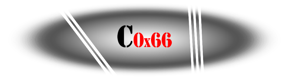 Code 0x66