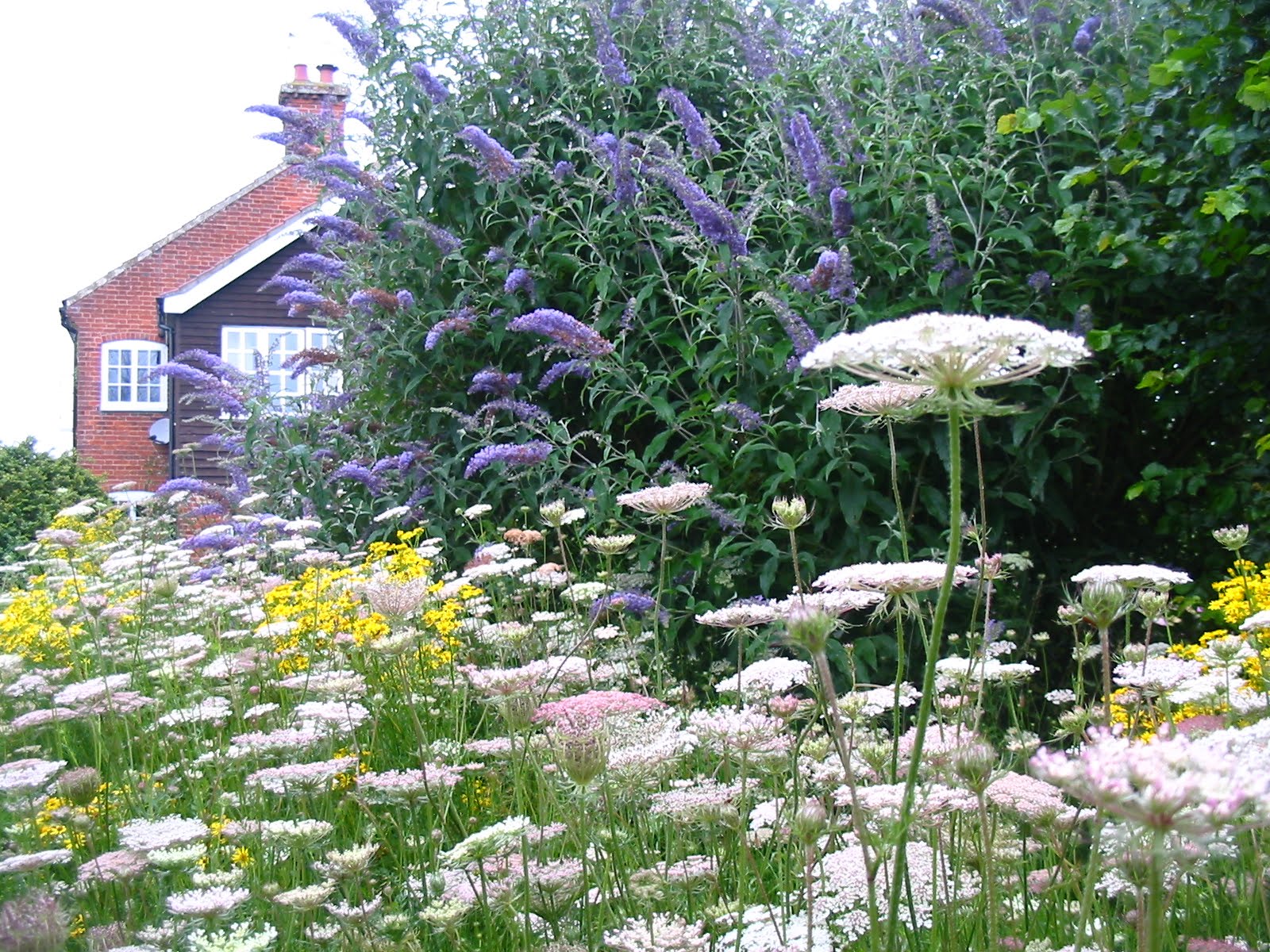 Random Jottings April 2012