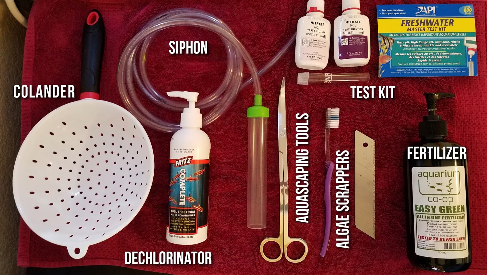 A GAMER'S WIFE How to Clean Your Betta Fish Tank the Easy Way!