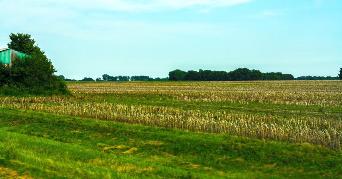 Colorful photo of farmland in Central Illinois