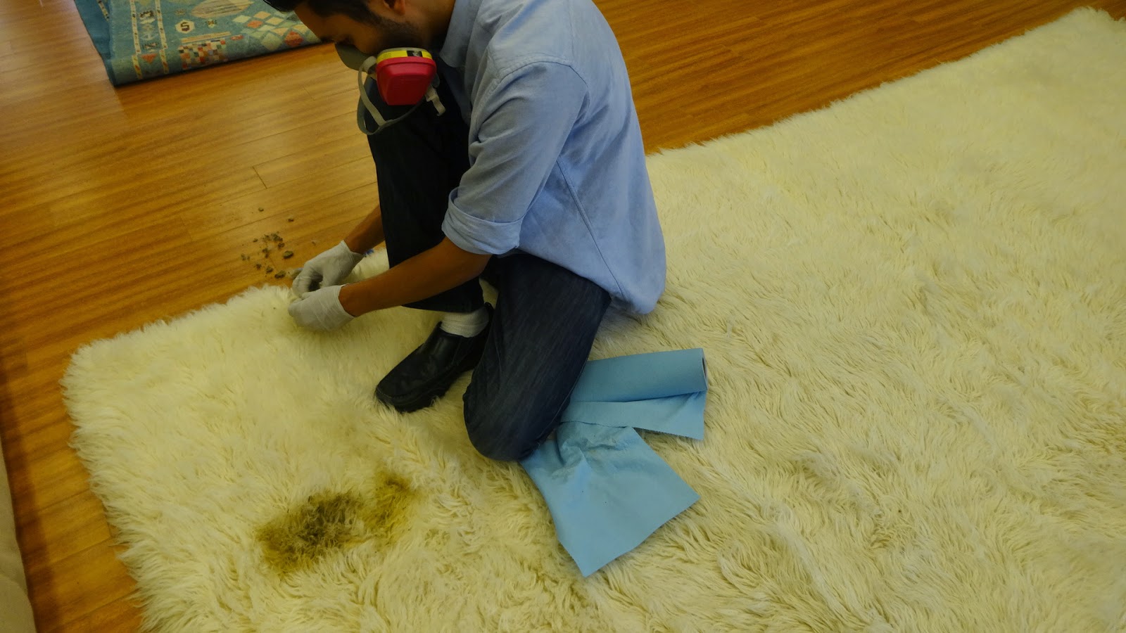 Rug Master When You Have a Dirty Wool Flokati Rug, Let Us Take Care of