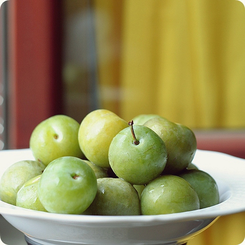 Behind the French Menu Prunier ReineClaude The Greengage Plum. The