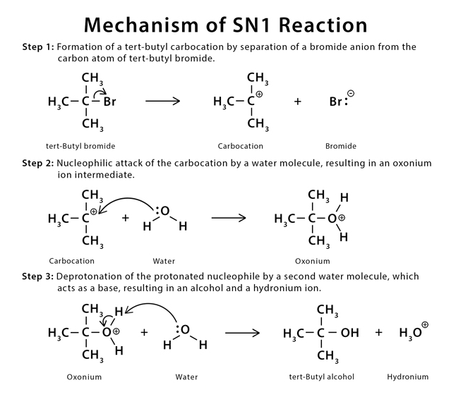 First reaction. Sn1 sn2 механизмы. Механизм sn1 и sn2 различия. Органическая химия sn1 sn2. Условия sn1 и sn2.