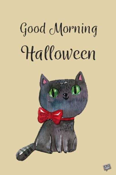 good-morning-halloween-cute-black-cat