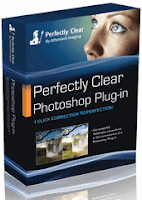 perfectly clear plugin perfectly clear plugin