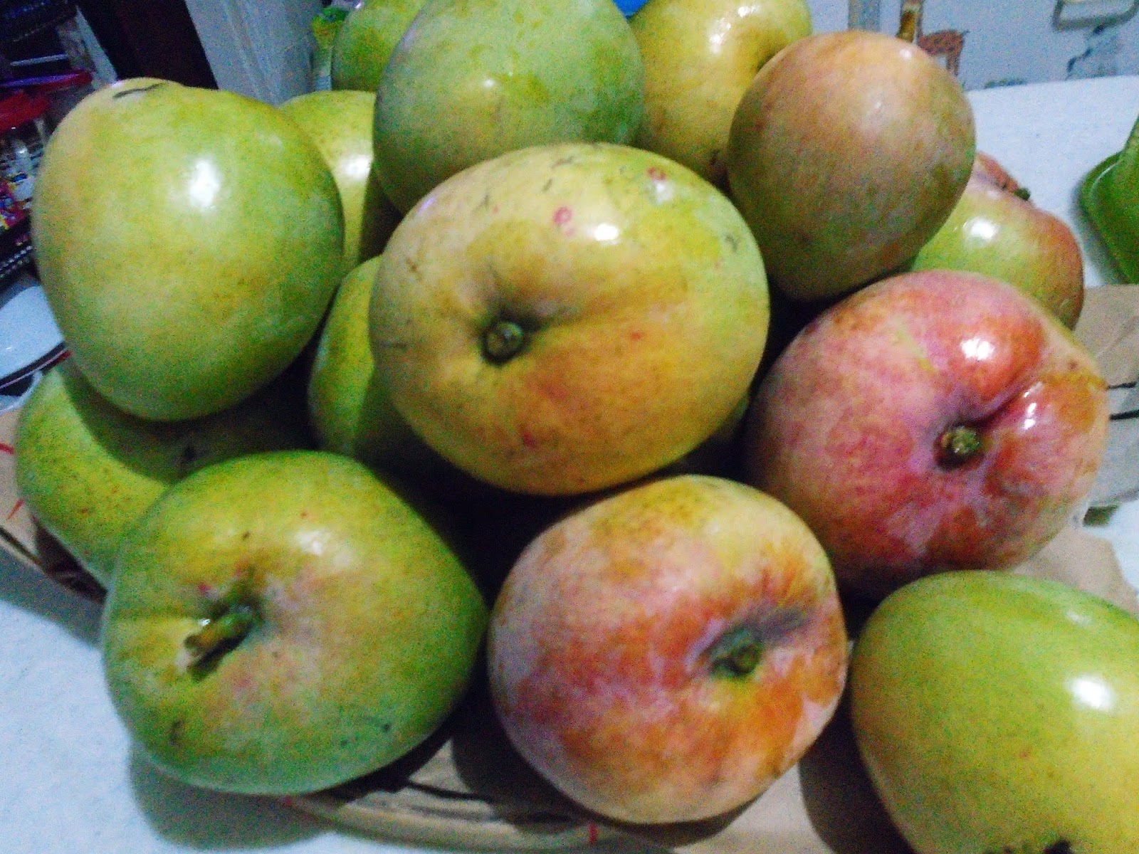 Living with Nature School on Blog by Dr. Abercio V. Rotor Apple