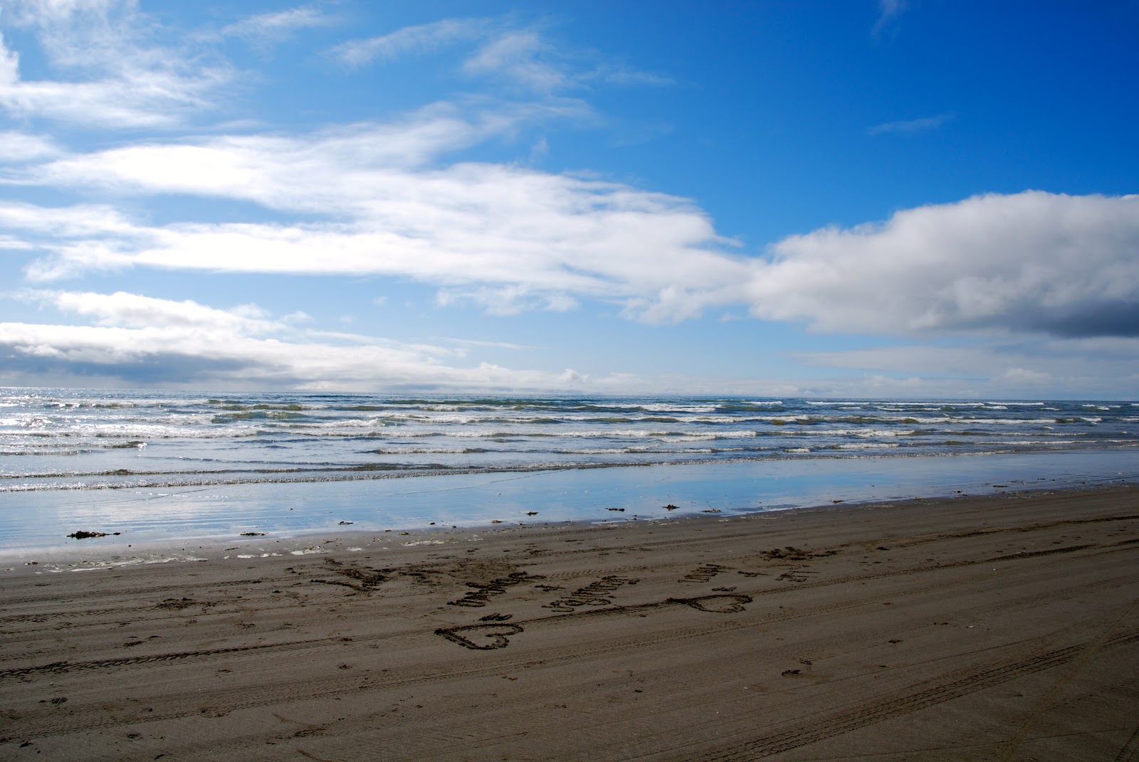 Wanderlust Traveler Ocean Shores, Washington
