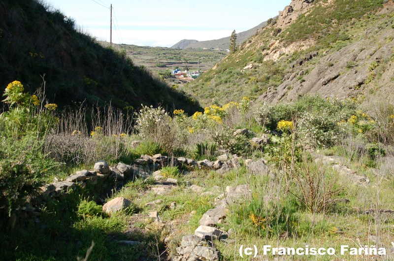 FRANCISCO FARIÑA II VALLE ARRIBA CASERÍO DE ERJOS (Por el Camino de