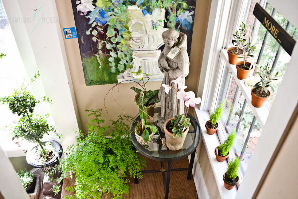 Gardening South Florida Style: Window Sill Gardening