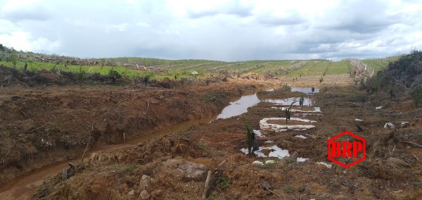 Sungai Awang Keruh. Warga Desa Hayaping Mengeluh. Ini Dia Perusahaan Sawit Yang Menjadi Biang Keroknya!!