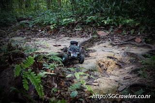 [PHOTOS] 20160424 - Rifle Range Road - Durian Loop Trail Photos DSC02854