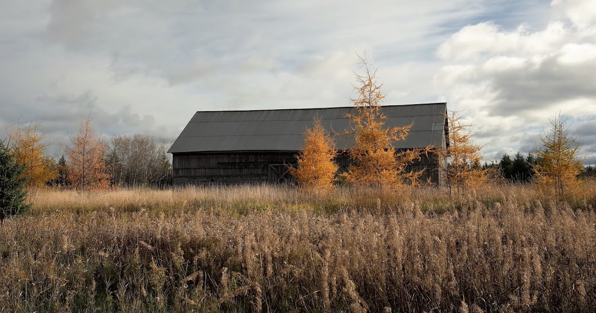 L'OEIL AU VERT THÉÂTRE DE LA VIEILLE GRANGE, AUTHIER (ABITIBIOUEST