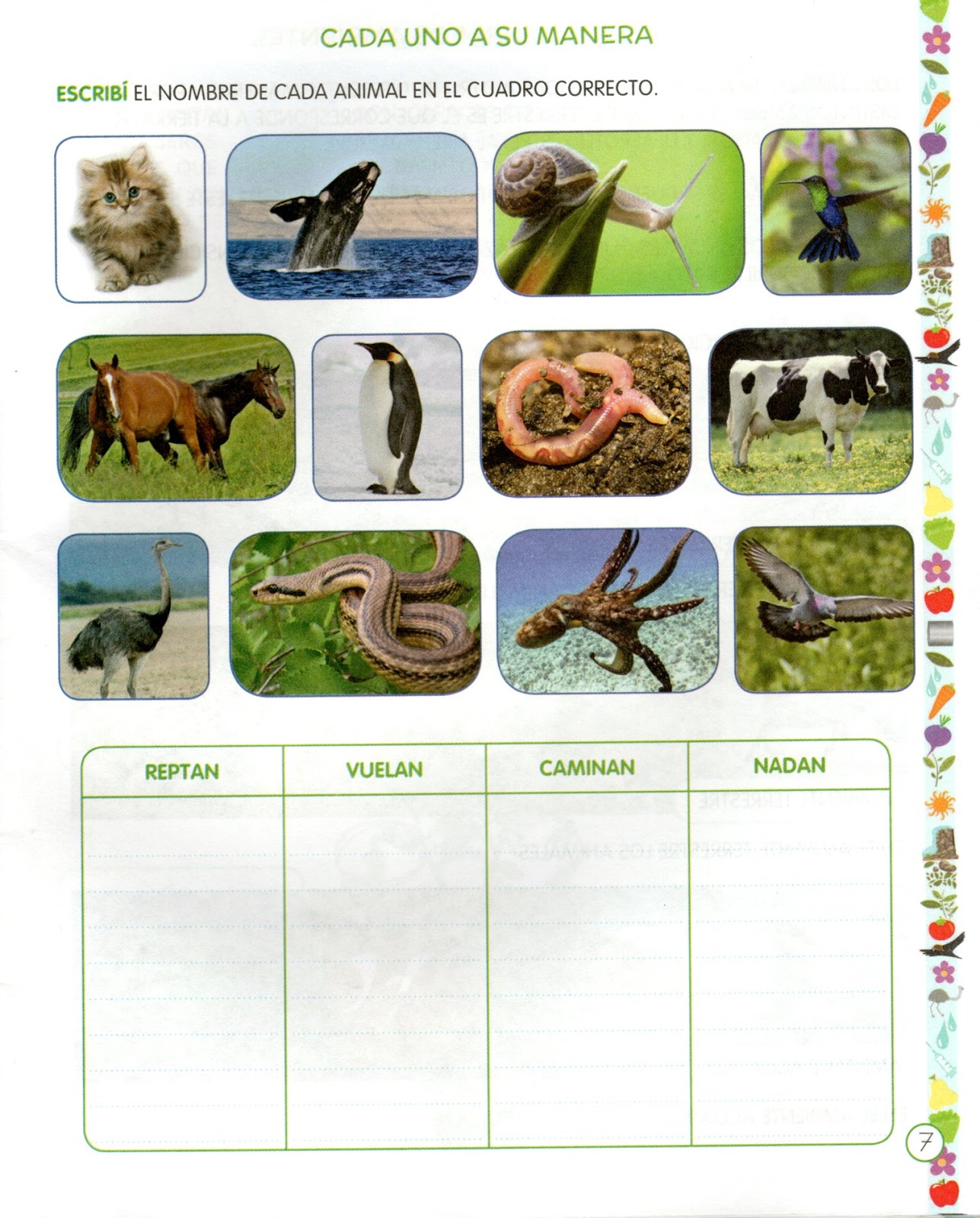 Colegio Ntra Sra de la Misericordia Nº1007 San Lorenzo: DESPLAZAMIENTO