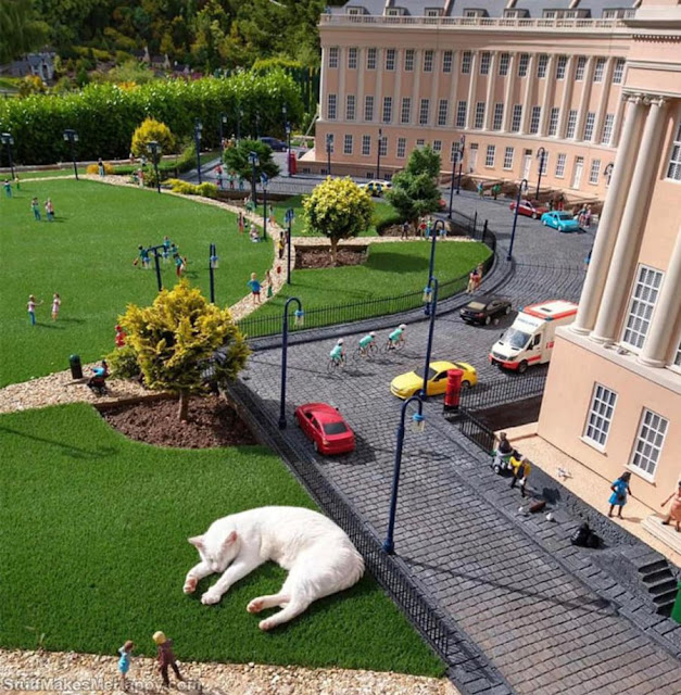 This Miniature Village Amuses Internet Users with Photos of “Giant Cats”