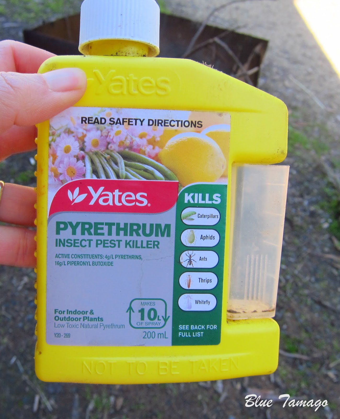 Poultry Lice Treatment Pyrethrum bath