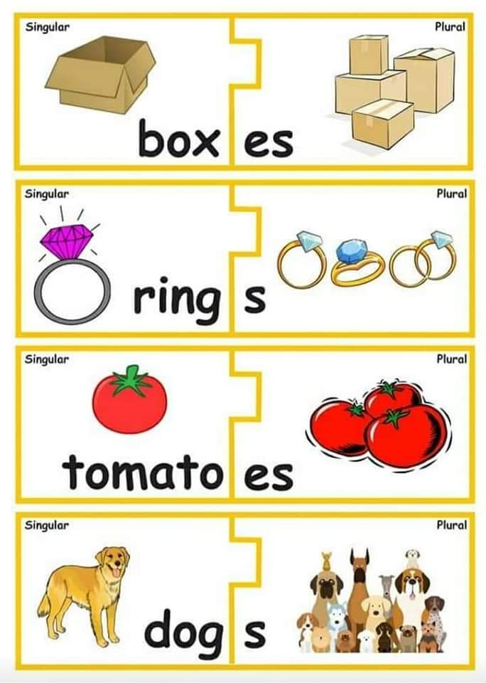 Inglês singular e plural Cards em inglês para trabalhar singular e