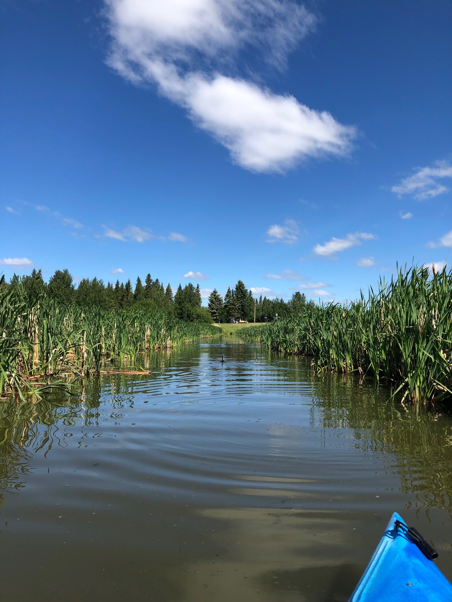 Canoeing Around Edmonton, Alberta, Canada Sandy Lake