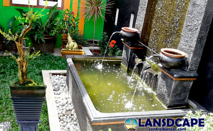 TAMAN RUMAH LAHAN TERBATAS DIHIASI KOLAM DAN TANAMAN BONSAI 