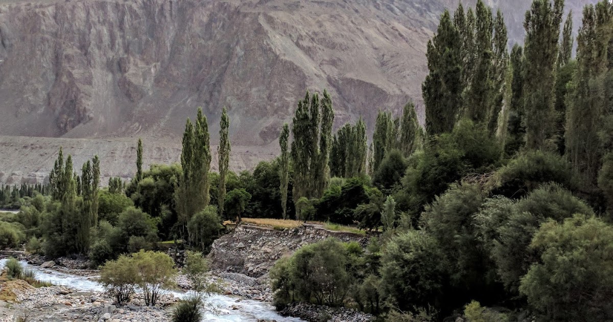 Ladakh Diaries Part 6: Turtuk