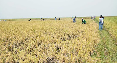 In the next 24 hours, rain is forecast for the entire state . In the next 24 hours, rain is forecast for the entire state .