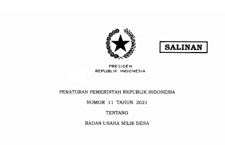 Download Peraturan Pemerintah Nomor 11 tahun 2021 tentang Badan Usaha