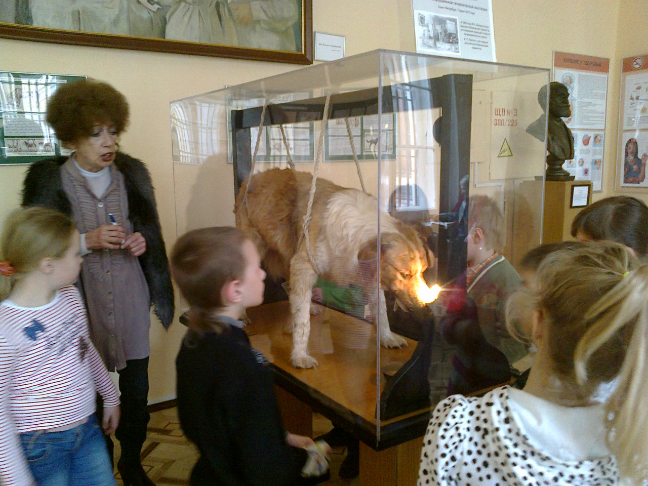Музей гигиены в спб Музей гигиены в спб