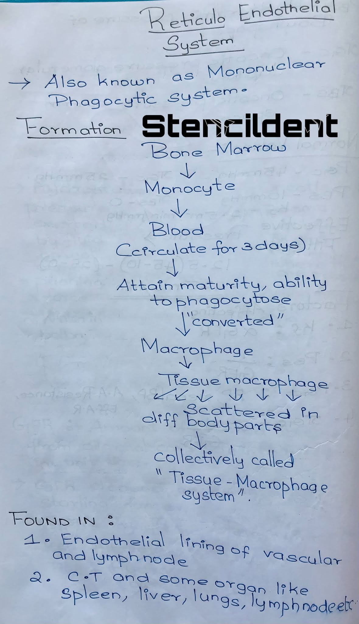 Reticuloendothelial system- Formation,Classification