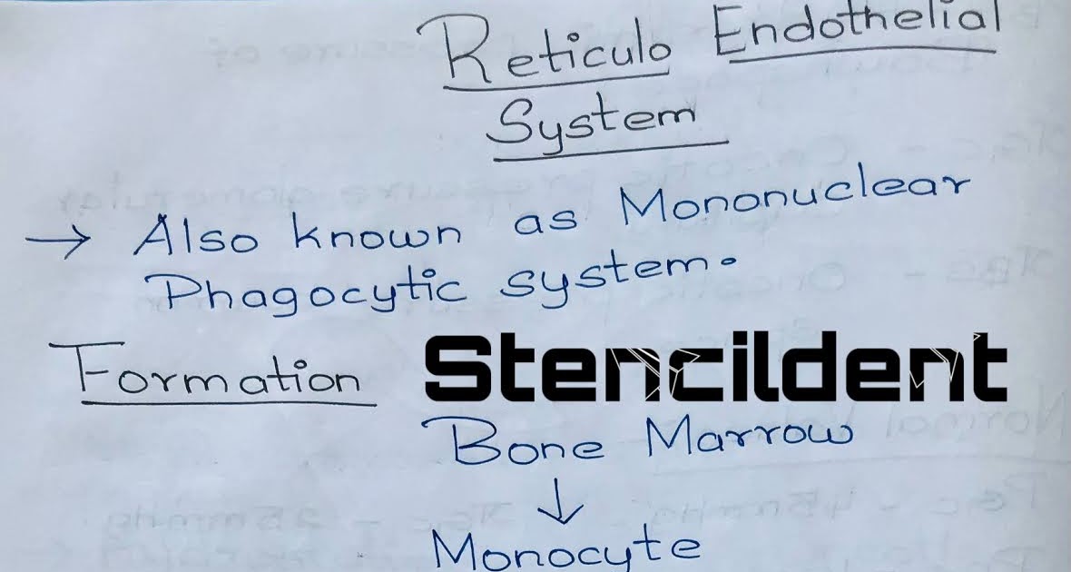 Reticuloendothelial system- Formation,Classification