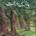 Pardesi Darkhat By Nasim Hijazi Full Book Free
