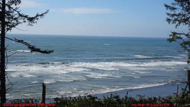 Ruby Beach Washington