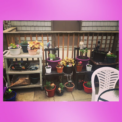 using old furniture as a plants stands and strorage space for an outdoor container garden on a city patio