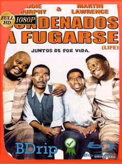 Condenados a fugarse (1999) BDRIP 1080p Latino [GoogleDrive] SXGO